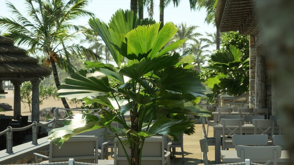 Plants Kit 07 - Tropical Palms
