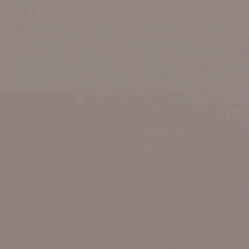 VRAY.US