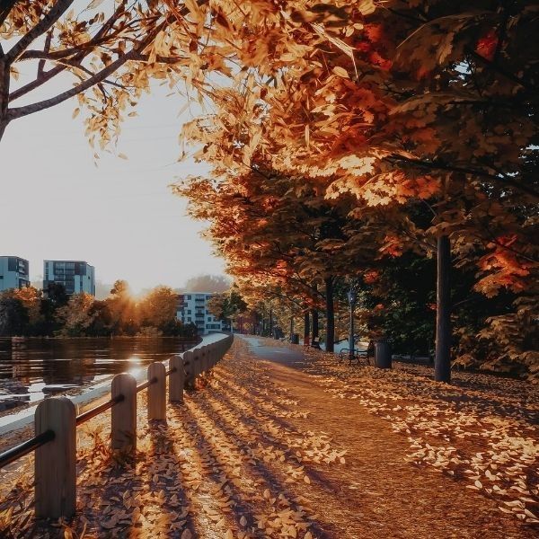 Enscape for SketchUp, Rhino, Revit Archicad and Vectorworks - Real-Time 3D Rendering