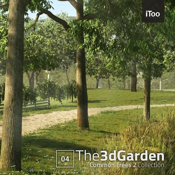 The 3DGarden - European Common Trees Collection Vol. 1
