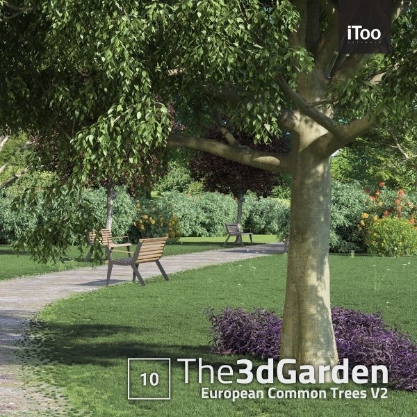 The 3DGarden - European Common Trees Collection Vol. 2
