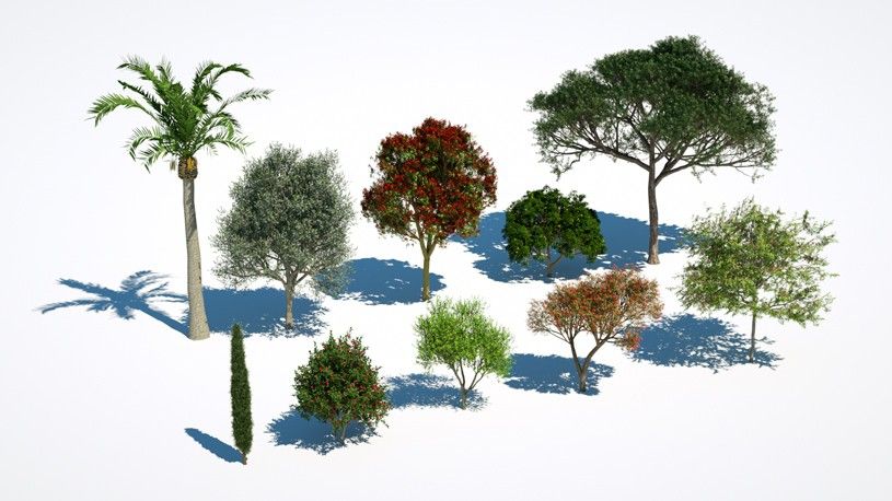 Plants Kit 04 - Subtropical Trees